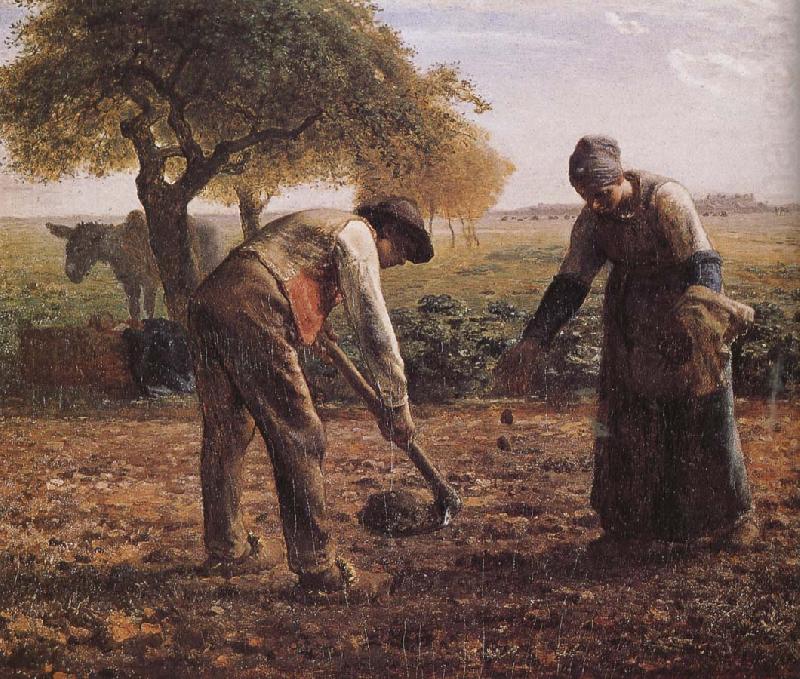 Jean Francois Millet Sower china oil painting image